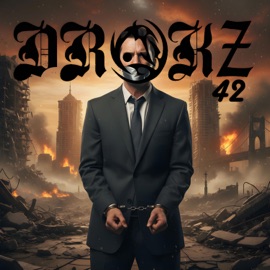 The system will collapse (Radio Edit) Drokz