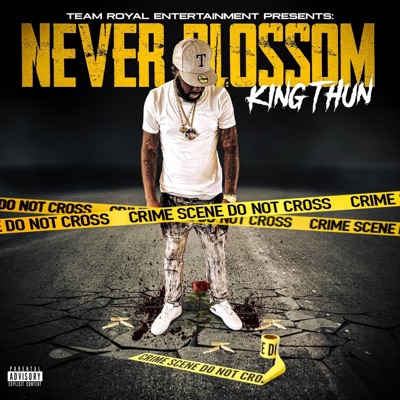 Never Blossom - Single