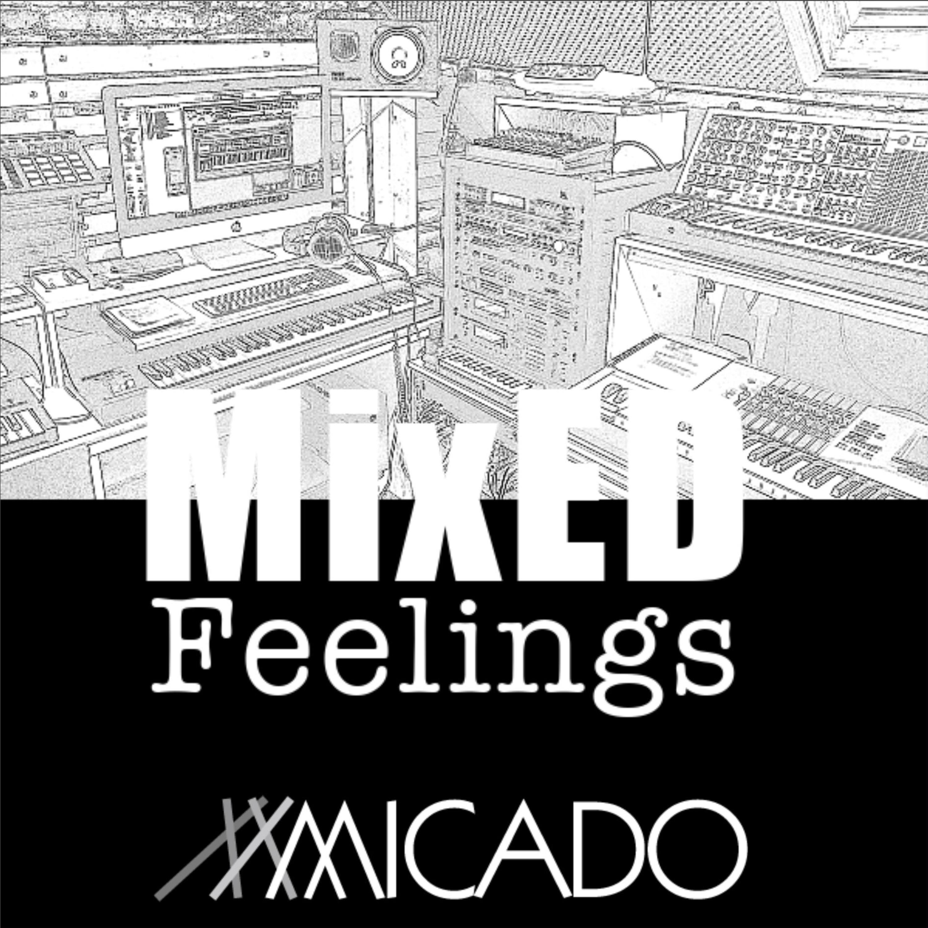 MixED Feelings