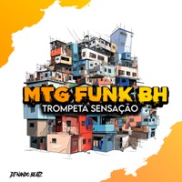 MTG Funk BH Trompeta sensação - Single - Dj Nando Beatz
