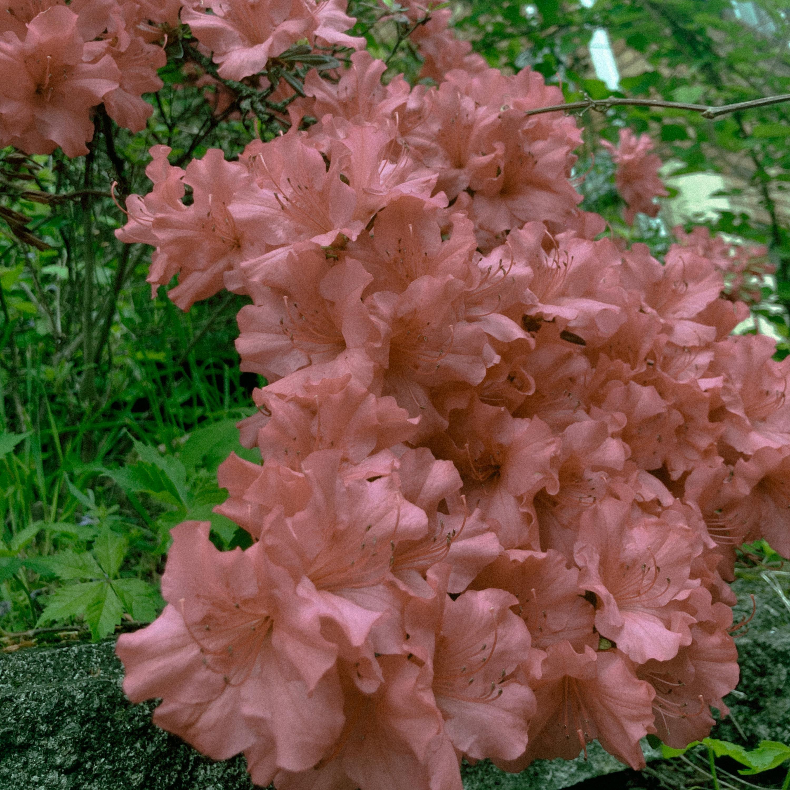 Every Time You Leave - Single