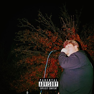 ZAZA HABITS - Single