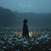 fading echoes - Single - Liewsenn & Pulsar Waves