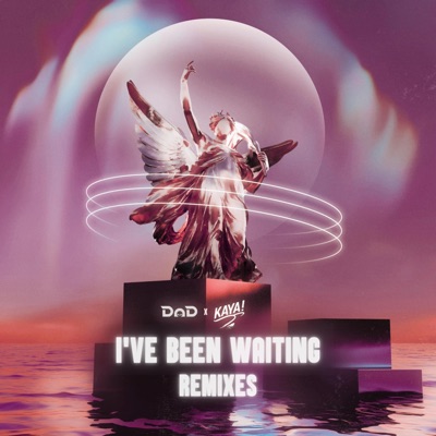 I've Been Waiting (Remixes) - Single