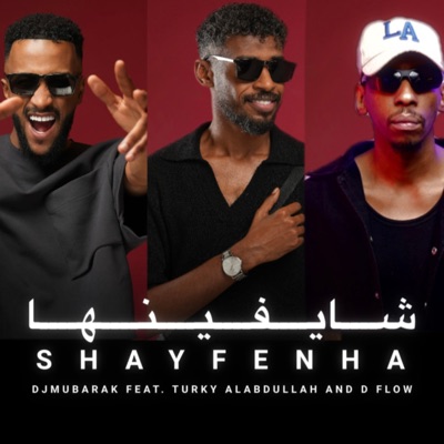 شايفينها - Single