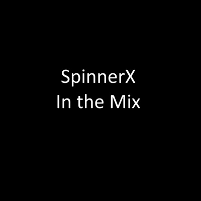 In the Mix (Mixed) [DJ Mix]