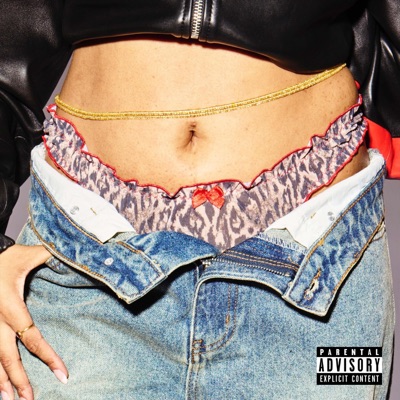 Zei ze dat echt? - Single