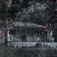 April 11 (Redux) - Single - The Bunny The Bear