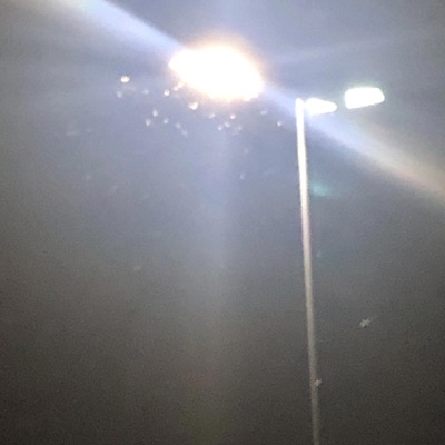 the fog where i was never found - Single