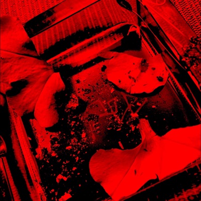 Danke - Single