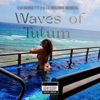 Waves of Tulum (feat. J-Z La Melodia Musical) - Single - Lui-bandz