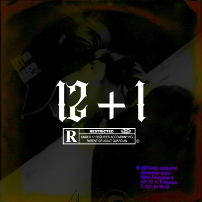12+1 - Single
