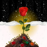 I Survived The Crack Era - EP - Grand Agent