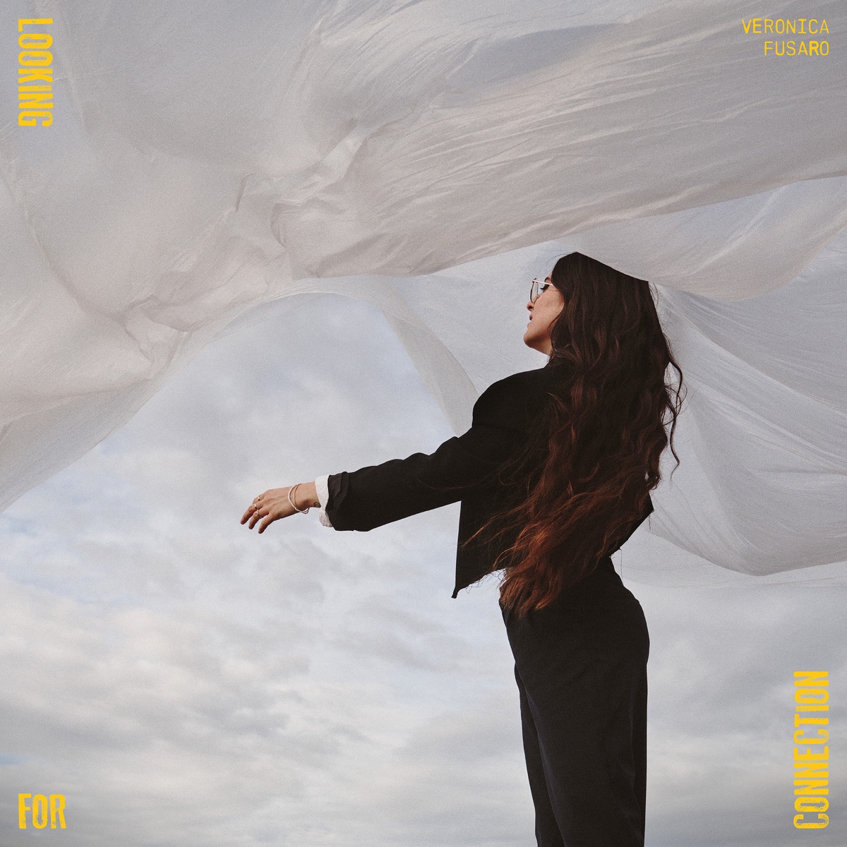 Veronica Fusaro - Looking for Connection (2025) [iTunes Plus AAC M4A]-新房子