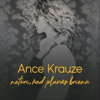 Ance Krauze - neturi, kad pļavās brienu artwork