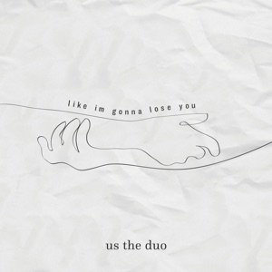 Like I'm Gonna Lose You - Single