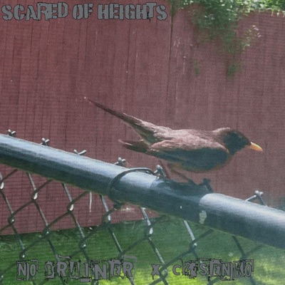Scared of Heights (feat. C4SENKO) - Single