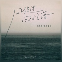 风经过 回忆落 (3D环绕版) - Single - 沈梦溪