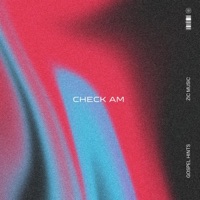Check am - Single - Gospel hints & Zic Music