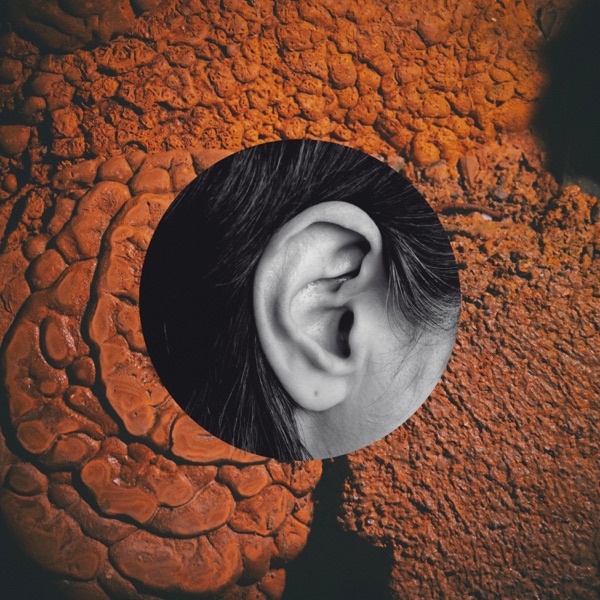Night Caves