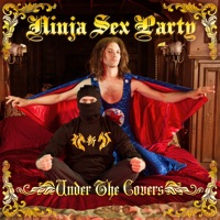 Under the Covers - Ninja Sex Party