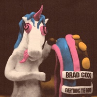 Everything I've Got - Single - Brad Cox