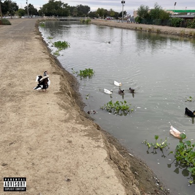 did i lose you? - Single