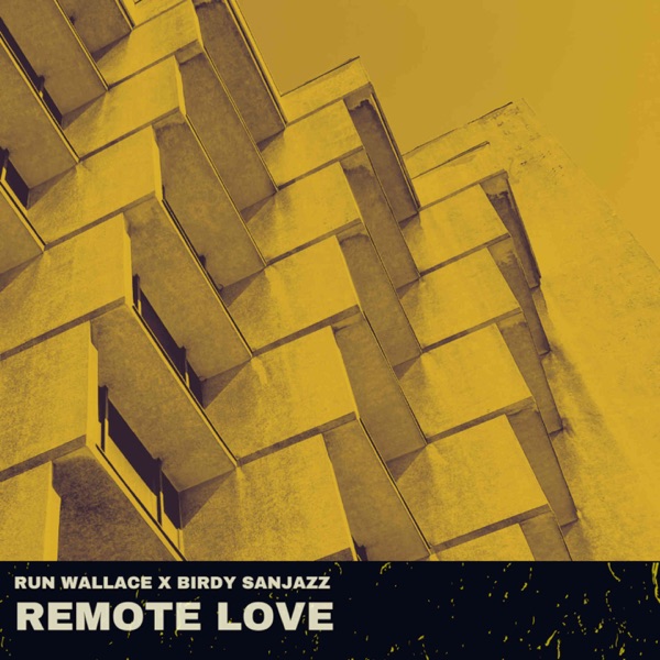 Remote Love - Single