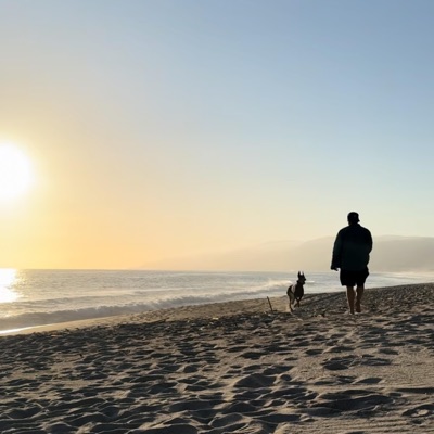 Savior (Slowed) - Single