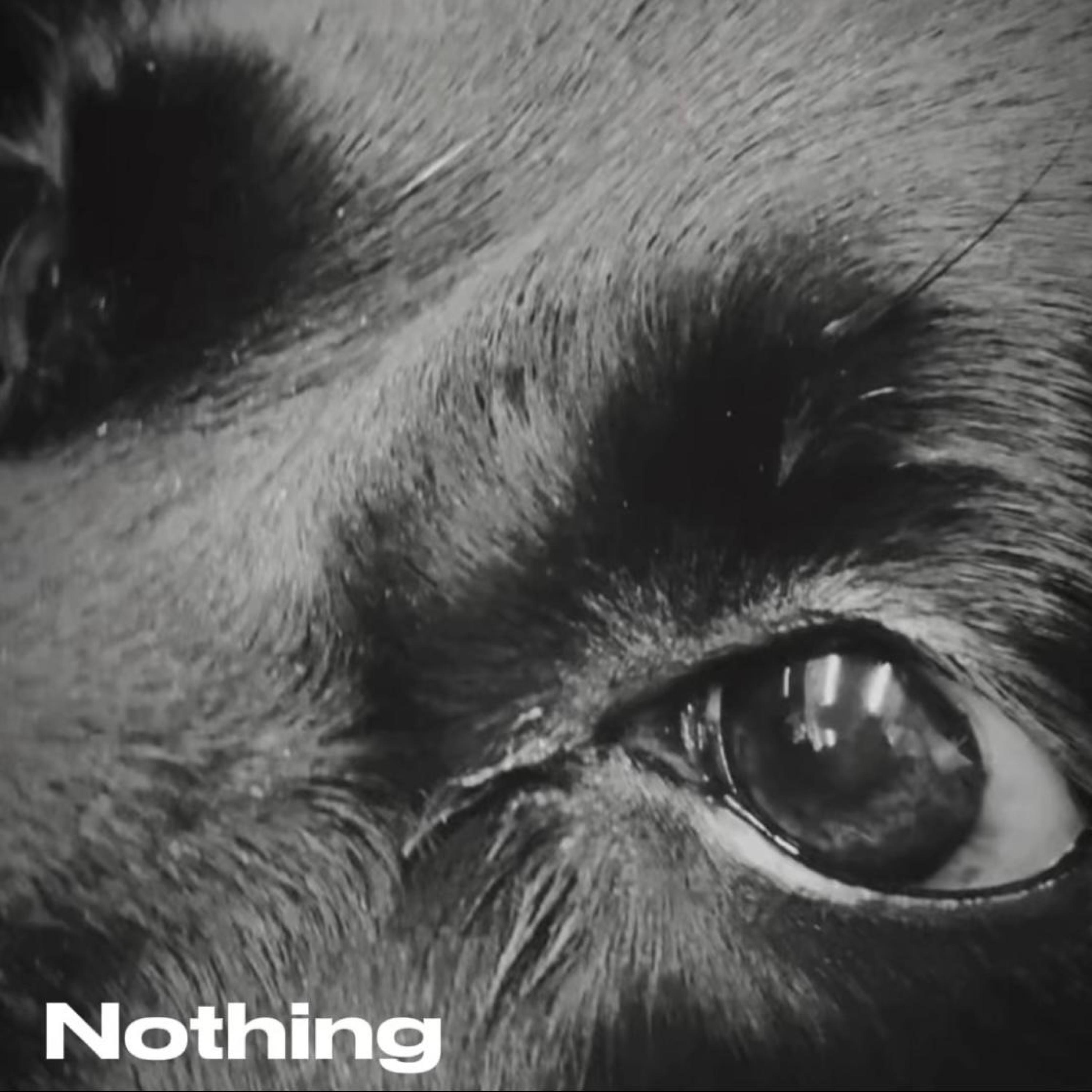 Nothing - Single