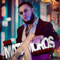 Mi Matamoros Bandido - Single - Kernel