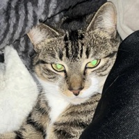 Hell could be warmer - Single - Raizomin