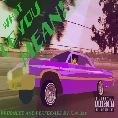 WHAT DO YOU MEAN! - Single