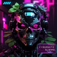 Cybernetic - Single - SLWMO