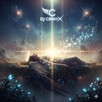 Sunt Un Vagabond (feat. Andrei M.) - Single - dj Crinyx