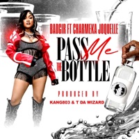 Pass Me The Bottle (feat. CharMeka Joquelle) - Single - Badgir
