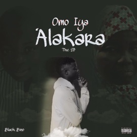 Internet (feat. John Dee) Black Bino