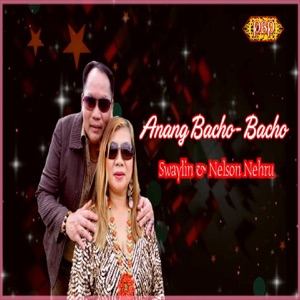 Swaylin & Nelson Nehru Album Art