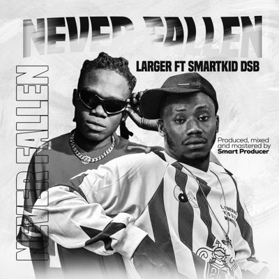 Never Fallen (feat. Smartkid dsb) - Single