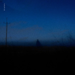 nightlights - Single