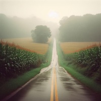 Someday (feat. K. Hay) - Single - Tulip Valley Music