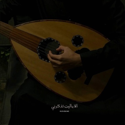 MUSICBRAND - الا ياليت تذكرني