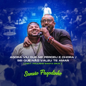 Agora Viu Que Me Perdeu e Chora/ Sei Que Não Valeu Te Amar (feat. Paulinho Sta Cruz)