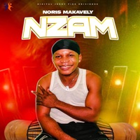 Nzam - Single - NORRIS MAKAVELLY