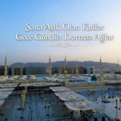 Sana Aşık Olan Kullar Gece Gündüz Durmaz Ağlar