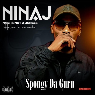 NINAJ Hellow To The World