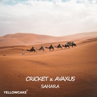 Sahara - Single - Cricket & Avaxus