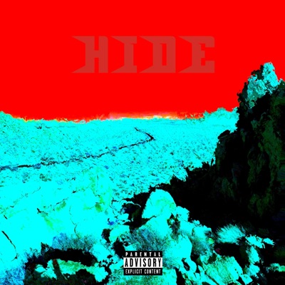 HIDE - Single