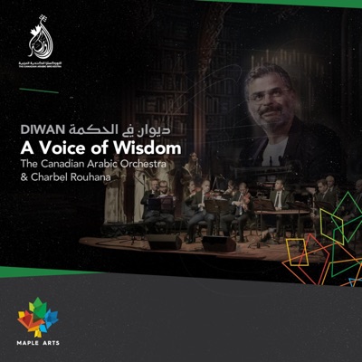 A Voice Of Wisdom