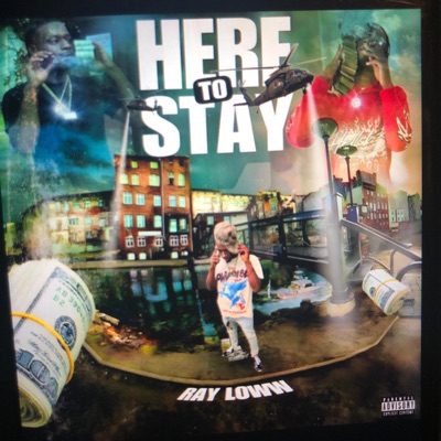 Here To Stayy